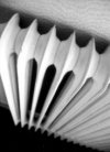 radiator.jpg