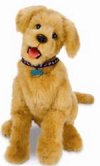 biscuitpuppy.jpg